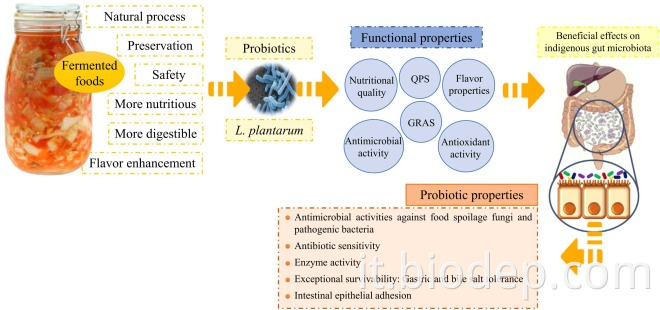 1-S2.0-S0944501322003299-GR1 1-s2.0-S0944501322003299-gr1